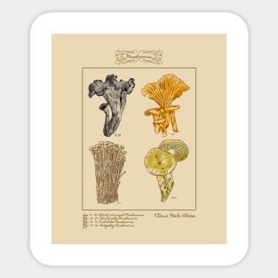 Mushroom Types - mycology Sticker